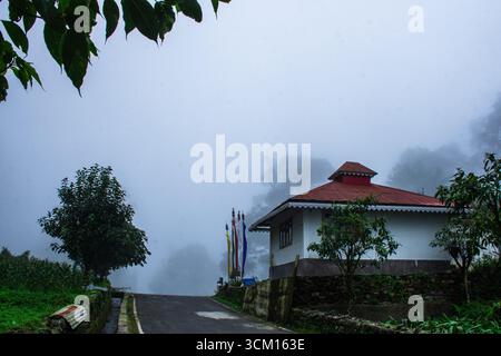 Ein atemberaubender Blick auf ein Berghaus, umgeben von üppigem Grün und bedeckt mit Nebel, schaffen eine mystische Atmosphäre. Bäume umrahmen die Szene neben einem Stockfoto