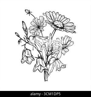 Monochrome wild blühende Blumenstrauß Vektor isolierte Illustration gemalt von schwarzen Tinten. Handgezeichnete Kamillenblüten-, Cichorium- und campanula-Blüten-Ätzung Stock Vektor