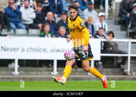 Newcastle, Großbritannien. September 2025. Ladislav Krejci von Wolverhampton Wanderers während des Spiels Newcastle United FC gegen Wolverhampton Wanderers FC English Premier League im St.James' Park, Newcastle, England, Vereinigtes Königreich am 13. September 2025 Credit: Lee Keuneke/Every Second Media Credit: Every Second Media/Alamy Live News Stockfoto