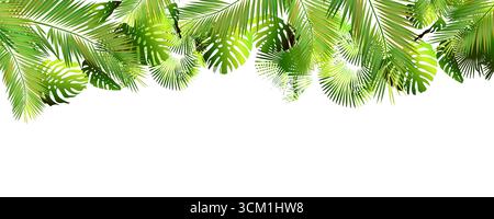 Palme hinterlässt Hintergrund auf weiß. Handgezeichnet. Nicht AI, Vektorillustration Stock Vektor