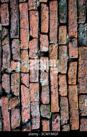 Historische rote Backsteinwand mit rustikaler Textur und moosigen Details, vertikal angeordnet, um einen abstrakten Hintergrund mit Vintage-Charakter zu schaffen. Stockfoto
