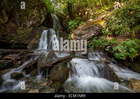 Kleiner Wasserfall in einem üppigen grünen Wald, malerische natürliche Landschaft mit fließendem Wasser, moosbewachsenen Felsen und dichten Bäumen Stockfoto