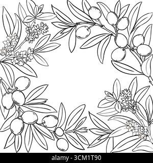 Olivenzweig mit Umrissrahmen für Blumen, Beeren und Blätter. Bio natürliche Ernährung gesunde Lebensmittelzutat, vegetarische Ernährung Produkt. Vektorisol Stock Vektor