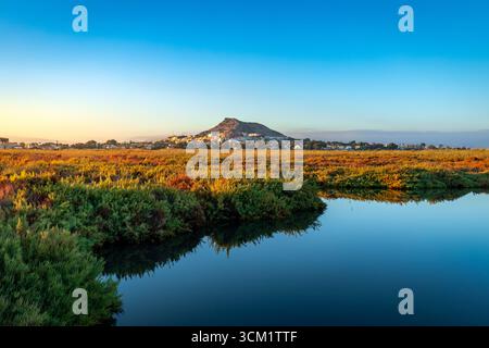 Marsch an der Küste des Mar Menor im Salzmarschgebiet von ​​El Carmolí, Cartagena, Region Murcia, Spanien Stockfoto