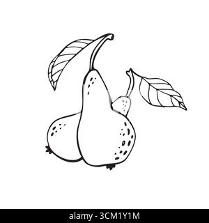 Vektorillustration mit zwei Birnen, handgezeichnet. Elegantes und minimalistisches Design mit Früchten. Stock Vektor