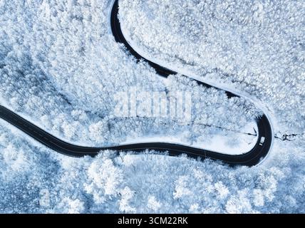 Blick von oben auf die leere Straße entlang des Winterwaldes nach Schneefall. Aus der Vogelperspektive auf die gewundene Straße durch schneebedeckte Bäume Stockfoto