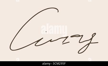 Gefälschtes Autogramm, handgezeichnetes Signature-Doodle-Sketch-freies Handschreiberzeichen. Beispiel für Tintennamen für Vertrag, Zertifikat, Schriftart mit Scribble-Zeile. Vektorabbildung Stock Vektor