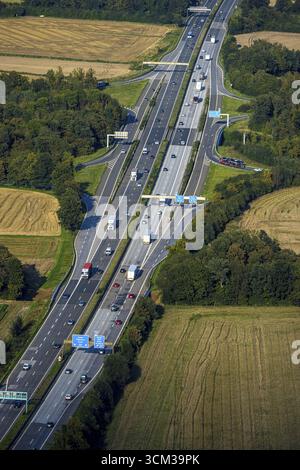 Luftaufnahme, Autobahndreieck Werl, Autobahn A44 bis Autobahn A445, Werl, Werl-Unnaer Boerde, Nordrhein-Westfalen, Deutschland, Auffahrt, Ausfahrt, Autobahn Stockfoto