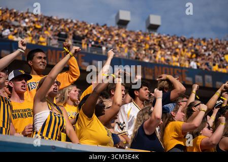 September 2025, Morgantown, WV, USA: 13. September 2025: WVU-Fans während der West Virginia University Mountaineers (WVU) gegen die University of Pittsburgh Panthers in Morgantown, WV im Milan Puskar Stadium. Bradley Martin/scheinbare Media Group (Kreditbild: © AMG/AMG Via ZUMA Press Wire) NUR REDAKTIONELLE VERWENDUNG! Nicht für kommerzielle ZWECKE! Stockfoto