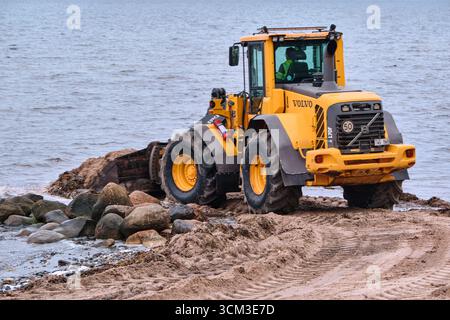 Helsingborg, Schweden; 12. August 2025: Volvo-Radlader schiebt Algen und Schutt zurück ins Meer am Strand Laröd in Helsingborg. Stockfoto