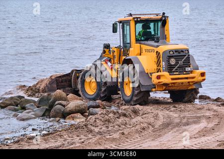 Helsingborg, Schweden; 12. August 2025: Volvo-Radlader schiebt Algen und Trümmer zurück ins Meer am Strand Larod in Helsingborg. Stockfoto