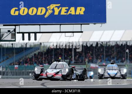 Towcester, Großbritannien. September 2025. [24]/NIELSEN RACING/Oreca 07 - Gibson/Cem B…L†KBA?I (TUR)/Ferdinand HABSBURG (AUT)/Filipe ALBUQUERQUE (POR) Aktion am Sonntag, den 14. September 2025 während der European Le Mans Series, Goodyear 4 Hours of Silverstone 2025 auf dem Silverstone Circuit, Vereinigtes Königreich. (Quelle: Rob Gray/Alamy Live News Stockfoto