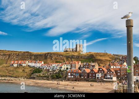Eine Küstenstadt mit Häusern auf einem Hügel, einer Kirche auf der Klippe, einem Sandstrand und einer Möwe, die auf einem Pfosten im Vordergrund thront, in Whitby, Großbritannien. Stockfoto