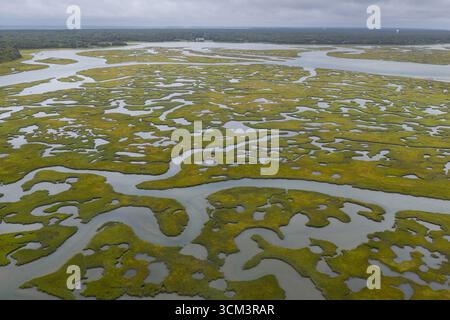 Geschwungene Kanäle schlängeln sich durch ein malerisches Salzmoor in Cape Cod, Massachusetts. Salzwiesen dienen als natürliche Kohlenstoffsenken und geschützte Baumschulen. Stockfoto