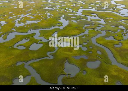 Geschwungene Kanäle schlängeln sich durch ein malerisches Salzmoor in Cape Cod, Massachusetts. Salzwiesen dienen als natürliche Kohlenstoffsenken und geschützte Baumschulen. Stockfoto