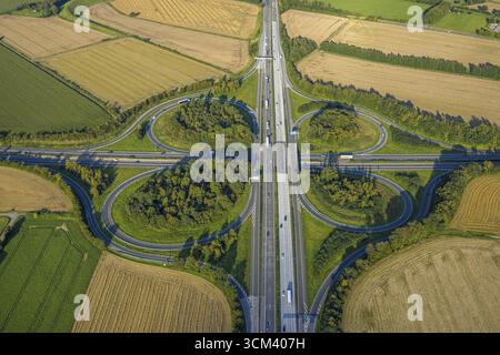 Luftaufnahme, Autobahndreieck Werl, Autobahn A44 und Autobahn A445, Werl, Werl-Unnaer Boerde, Nordrhein-Westfalen, Deutschland, Autobahn, DE, Europa, Stockfoto