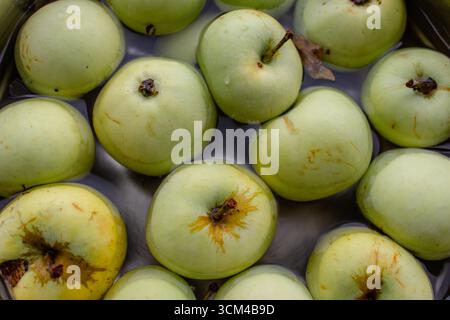 Frische grüne Äpfel in der Schüssel. Reife Äpfel in Wasser. Herbsternte. Hintergrund aus Bio-Früchten. Haufen grüner Äpfel. Rohe Diät. Natürliches Vitamin. Stockfoto