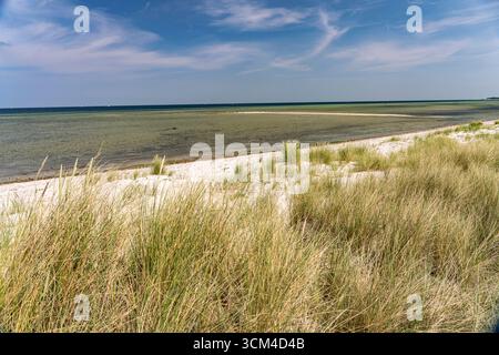 Dünenlandschaft am Strand des Kieler Fjords in Laboe, Schleswig-Holstein, Deutschland Stockfoto