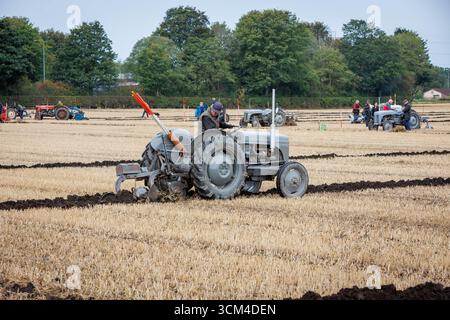 Die Makerfield Pfluggesellschaft veranstaltete ein Pflugspiel in der Moss Side Farm, Manchester Road, Rixton, Warrington, Cheshire, Stockfoto