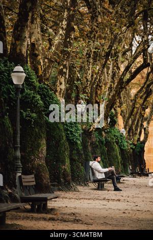 Mann auf Bank im friedlichen Porto Park mit alten Plane Bäumen. Ruhiger Urbaner Green Space, Moosbedeckte Baumstämme, Stadtgarten, Entspannungsszene Stockfoto