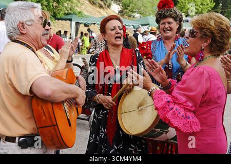Andalusische Feier, Romeria, Madrid, Spanien Stockfoto