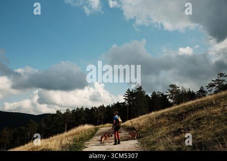 Männlicher Wanderer mit zwei Hunden Deutscher und australischer Schäferhund auf einem Bergweg in Divcibare, Serbien. Wandern und Reisen mit Haustieren Konzept. Stockfoto