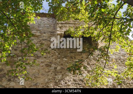 Historische Festungsmauer aus Stein mit gewölbten Zinnen, teilweise von grünen Blättern unter Sonnenlicht eingerahmt. Eine Szene, die mittelalterliches Archit verschmilzt Stockfoto