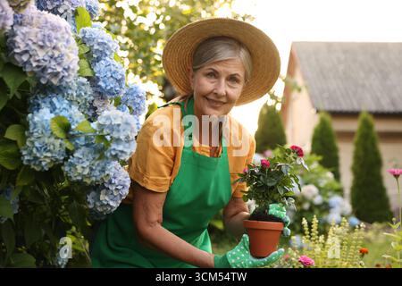 Porträt einer älteren Frau mit Hut, Handschuhen und Schürze mit Blumen im Garten Stockfoto