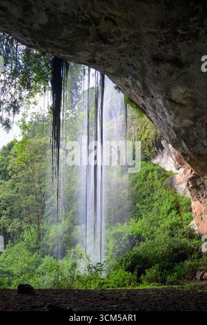 Wasserfall am Eingang der Making'eny Cave, mit Wurzeln von Bäumen, lange Exposition, Mount Elgon National Park, Kenia. Stockfoto