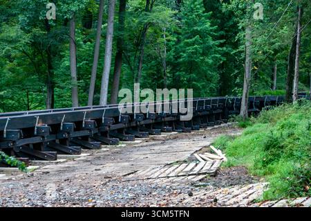 Dieser Standort verfügt über eine neue Eisenbahnbrücke, die von hohen Bäumen und üppigem Grün umgeben ist. Die Natur gewinnt das Gebiet zurück, mit bewachsenen Pflanzen A Stockfoto