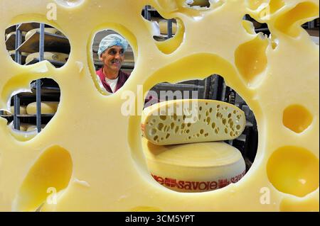 Scheibe Emmental de Savoie, Käsefabrik Chabert in Vallieres, Departement Haute-Savoie, Region Rhone-Alpes, Frankreich, Europa Stockfoto