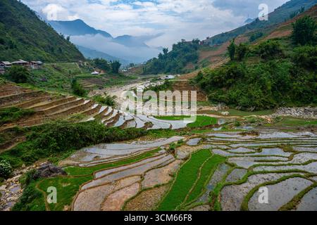 Überflutete Reisfelder folgen der Kurve eines Flusstals in Sapa, Provinz Lao Cai, Vietnam. Stockfoto
