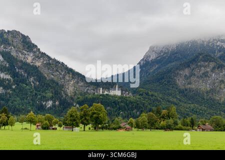 Schloss Neuschwanstein im Allgäu - 12.09.2025 Blick von Schwangau auf das weltberühmte Schloss Neuschwanstein, das wie ein Märchenschloss über den Baumwipfeln Thron. Die umgebenden Wälder und Berge bilden eine malerische Kulisse, während tief hängende Wolken und der bewölkte Himmel die Szenerie in einer mystischen, schnellen geheimnisvollen Stimmung tauchen. Schwangau Bayern Deutschland *** Schloss Neuschwanstein im Allgäu 12 09 2025 Blick von Schwangau aus auf das weltberühmte Schloss Neuschwanstein, das wie ein Märchenschloss über den Baumkronen thront, bilden die umliegenden Wälder und Berge eine pi Stockfoto