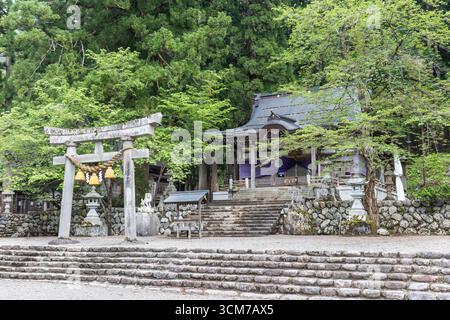Der Shrirakawa-Schrein mit Torii-Tor im Dorf Shirakawago omachi ist eine der Touristenattraktionen. Stockfoto