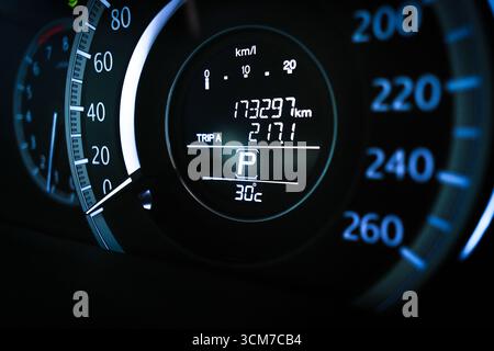 Nahaufnahme des digitalen Kilometerzählers am Armaturenbrett mit 173.297 km Kilometerstand, Tageskilometerzähler, Einparkungsanzeige und 30 °C Temperaturanzeige, Auto Stockfoto
