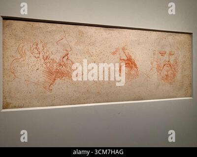 Louvre Museum, Paris. Oktober 2019: Eröffnung der historischen Ausstellung Leonardo da Vinci. Untersuchung des menschlichen Kopfes vermutetes Porträt von Cesare Borgia, Rote Kreide Stockfoto