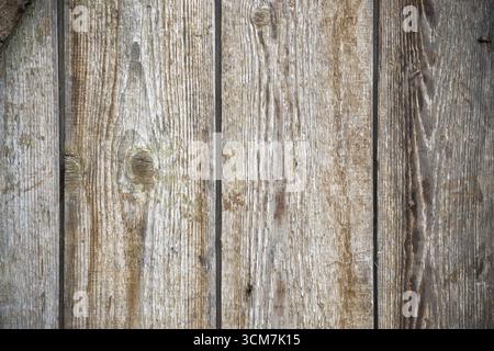 Nahaufnahme von gereiften Holzdielen, die die natürliche Körnung und Textur zeigen. Die Dielen sind vertikal angeordnet und schaffen eine rustikale und strukturierte Kulisse. Stockfoto