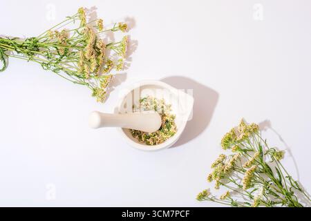 Mörtel und pestel mit getrockneten Kräutern auf weißem Hintergrund mit Schafgarbenblüten. Draufsicht, flach. Stockfoto