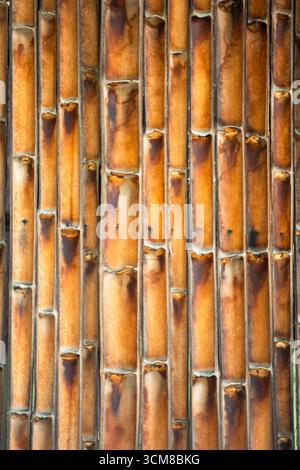 Gebrannte Bambusstruktur – natürlicher Hintergrund für Design und Dekoration. Stockfoto