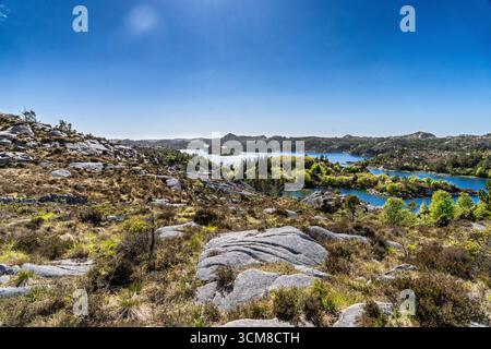 Ruhige Landschaft mit einem ruhigen See umgeben von Bäumen, einer kleinen Insel, lebendigem Grün und einem klaren blauen Himmel, der von Wolken hervorgehoben wird. Ein Perfec Stockfoto