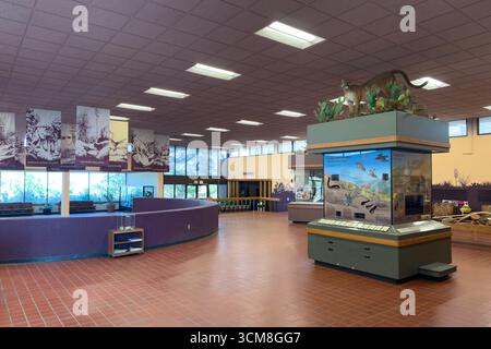Das Innere des Besucherzentrums im Living Desert Zoo & Gardens State Park, Carlsbad, New Mexico. Stockfoto
