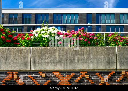 Modernes Wohngebäude am Dalmannkai in der Hamburger Hafencity Stockfoto