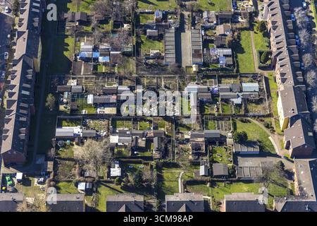 Luftansicht, Duisburger Jupp Kolonie, Arbeitersiedlung mit Reihenhäusern, Steigerstraße, Stollenstraße, Glueckaufstraße, Kliengarten abgerissen Stockfoto