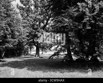 Landschaftspark im Künstlerhaus Gasteiger in Holzhausen am Ammersee, Westufer des Ammersees Stockfoto