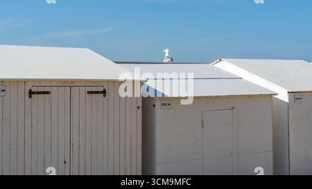 Eine weiße Möwe sitzt auf dem Dach eines Badehauses, Sommerstimmung an der Nordsee, blauer Himmel über einem weißen Badehaus mit einem Vogel auf dem Dach Stockfoto