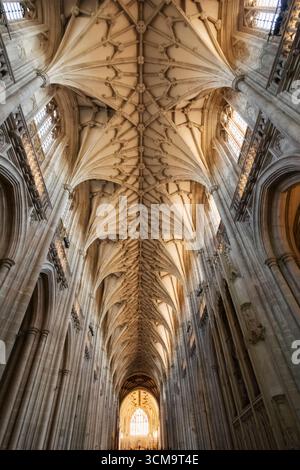 England, Hampshire, Winchester, Winchester Cathedral, Innenansicht der gotischen Decke Stockfoto