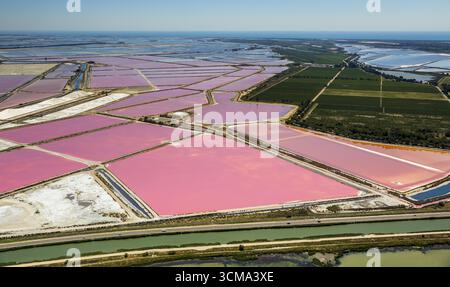 Salzseen in der Nähe von Aigues-Mortes in der Camargue, Salzblumen auf den Salzebenen, Camargue, Aigues-Mortes, Frankreich, Languedoc-Roussillon, Frankreich, Europa, Stockfoto