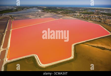 Salzseen in der Nähe von Aigues-Mortes in der Camargue, Salzblumen auf den Salzebenen, Camargue, Aigues-Mortes, Frankreich, Languedoc-Roussillon, Frankreich, Europa, Stockfoto