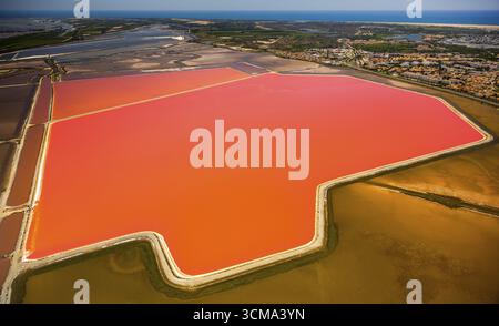 Salzseen in der Nähe von Aigues-Mortes in der Camargue, Salzblumen auf den Salzebenen, Camargue, Aigues-Mortes, Frankreich, Languedoc-Roussillon, Frankreich, Europa, Stockfoto
