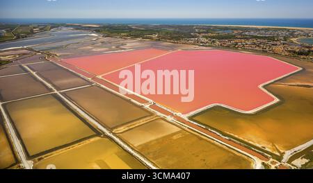 Salzseen in der Nähe von Aigues-Mortes in der Camargue, Salzblumen auf den Salzebenen, Camargue, Aigues-Mortes, Frankreich, Languedoc-Roussillon, Frankreich, Europa, Stockfoto